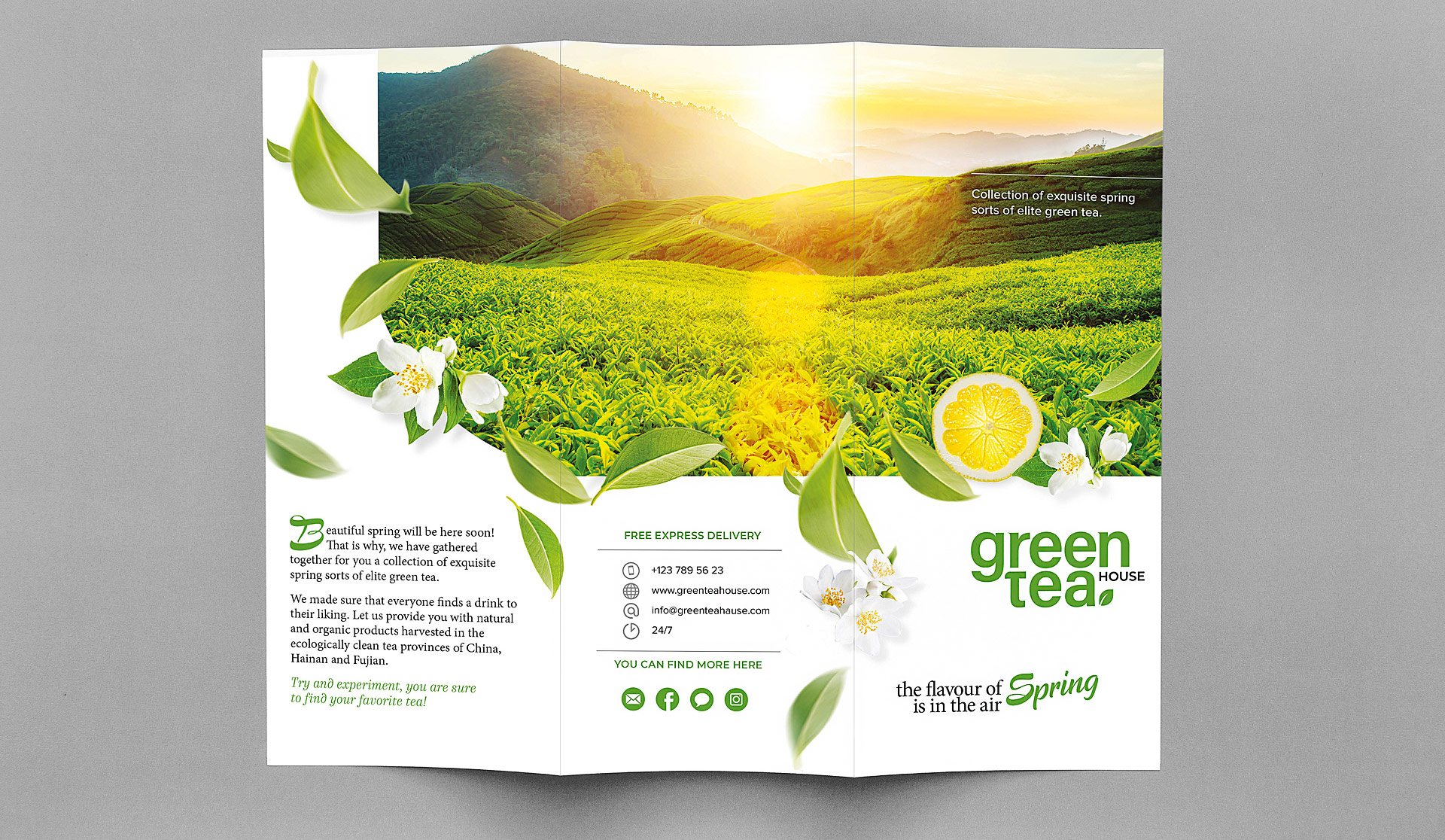three-fold brochure design 1