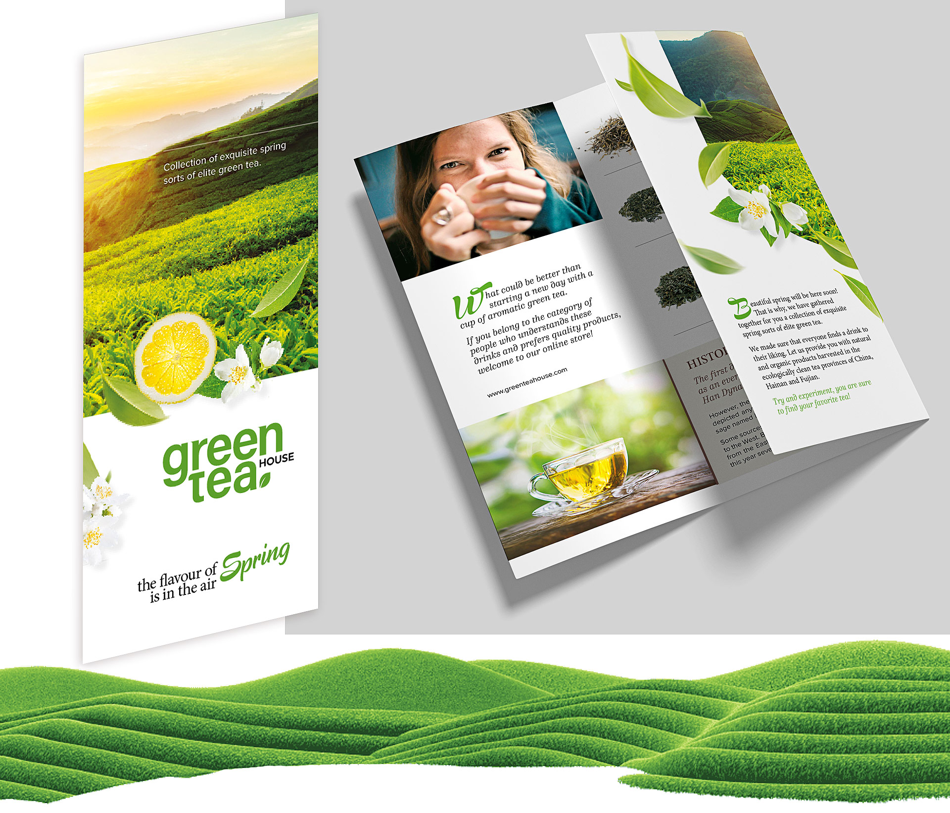 three-fold brochure design 2